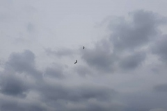 20190728_153702