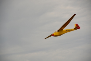 Scheibe L-Spatz 55 und Motorspatz