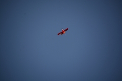 D71_5387