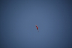 D71_5390