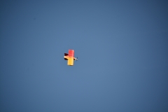 D71_5394